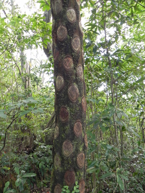 e0238313_224987.jpg