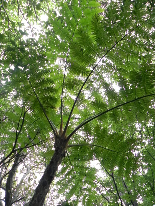 e0238313_2253173.jpg