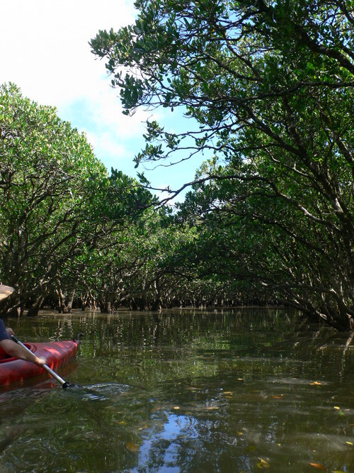 e0238313_232329.jpg