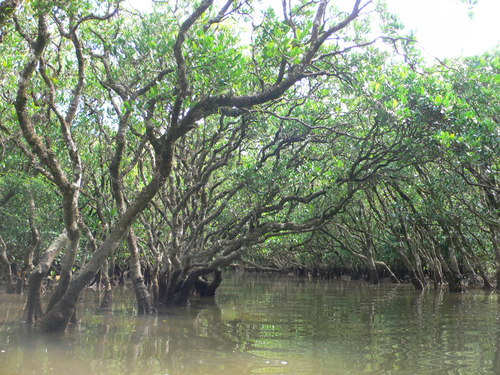 e0238313_2342257.jpg