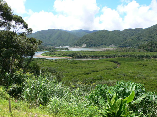 e0238313_2362963.jpg