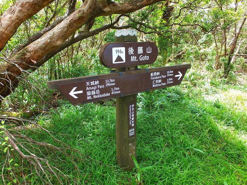 f0182513_2321855.jpg