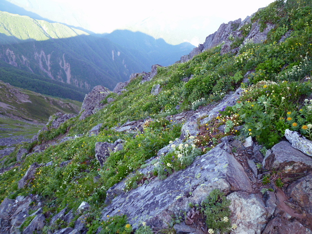 d0170615_854349.jpg