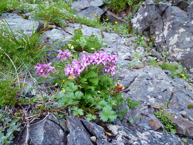d0170615_855419.jpg