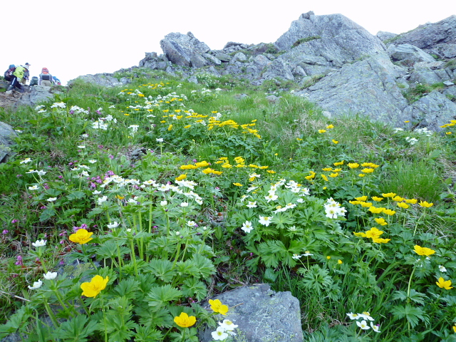 d0170615_86592.jpg