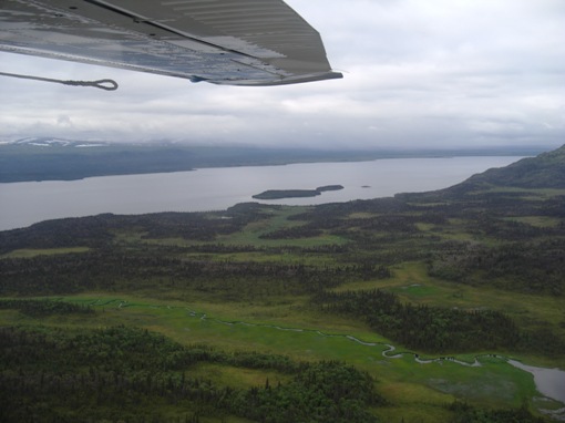 d0098316_1631796.jpg