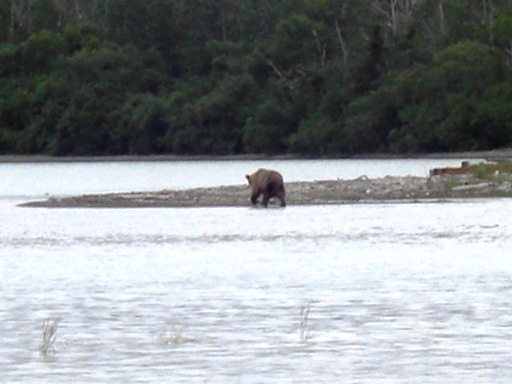 d0098316_16344081.jpg