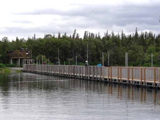d0098316_1826156.jpg