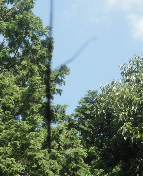 a0239418_1415481.jpg