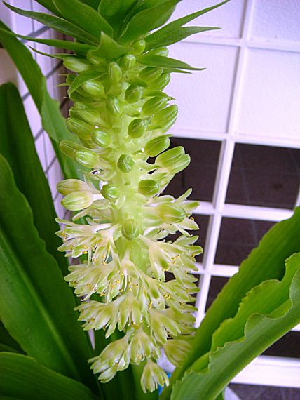 b0068423_22415040.jpg