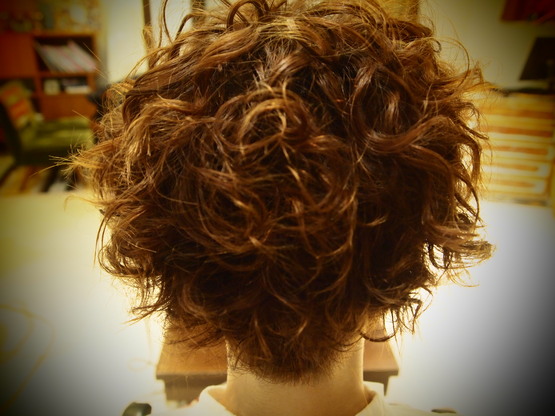 c0215524_136538.jpg