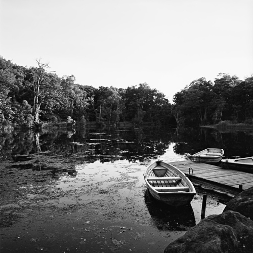 f0182924_13452659.jpg