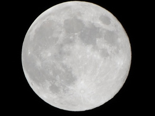 b0000829_1245288.jpg