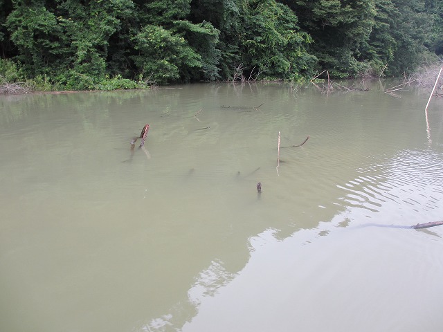 c0208836_8561038.jpg