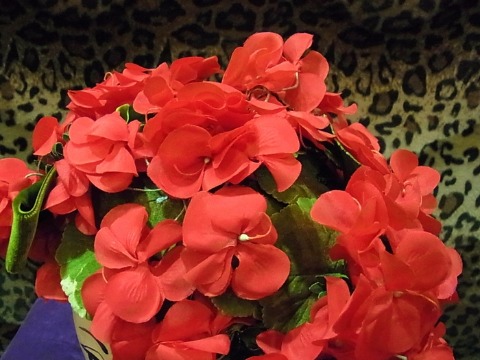 a0159652_2150532.jpg