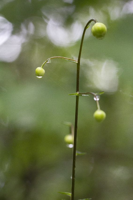b0167256_2335961.jpg