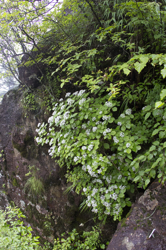b0167256_235220.jpg