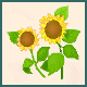 d0149258_22152851.gif