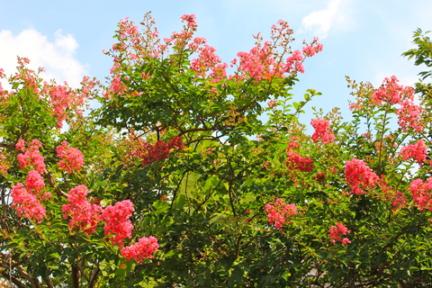 a0248459_184016100.jpg