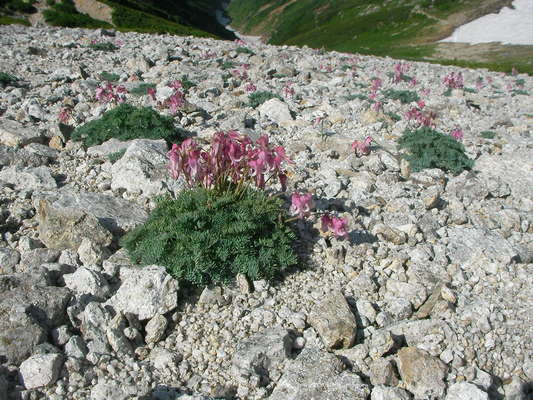 f0035460_2228773.jpg