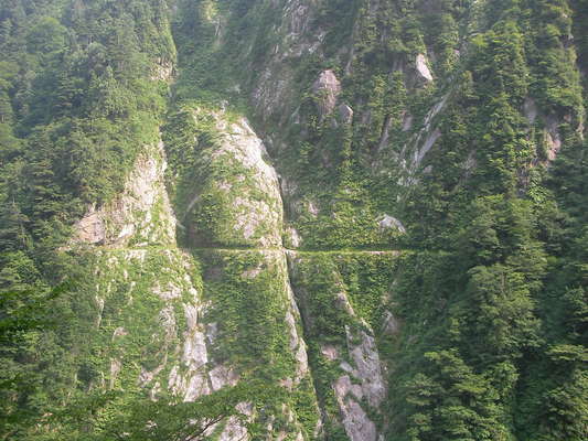f0035460_22321811.jpg