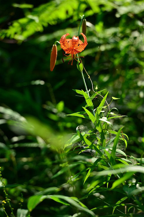 f0222161_14463634.jpg
