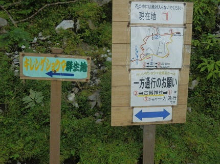 c0042869_21402296.jpg