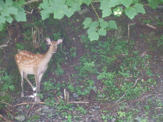 c0042869_2211729.jpg