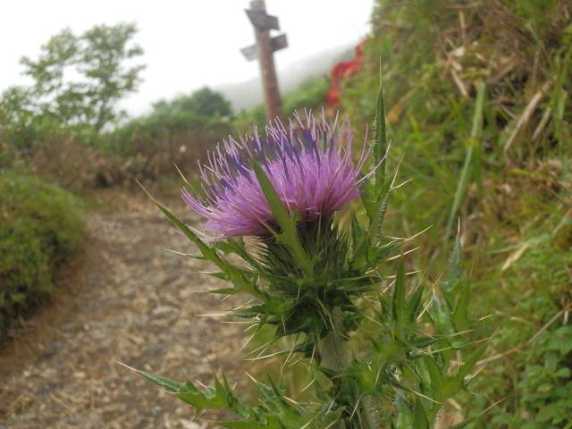 c0042869_2231050.jpg