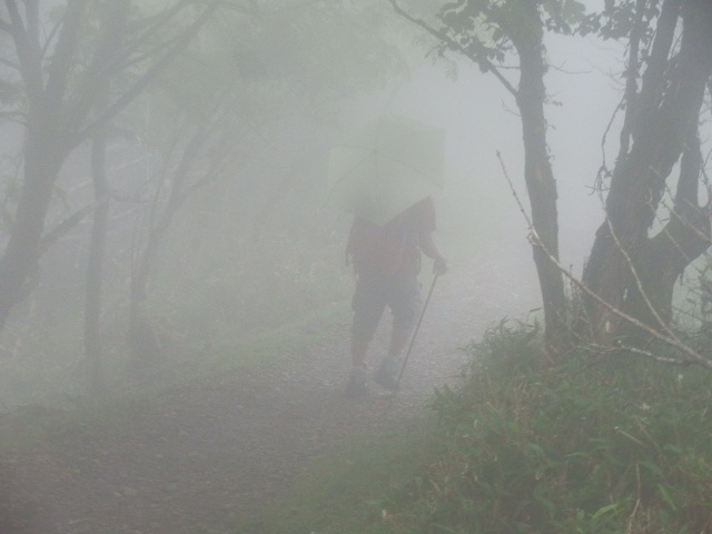 c0042869_2243237.jpg