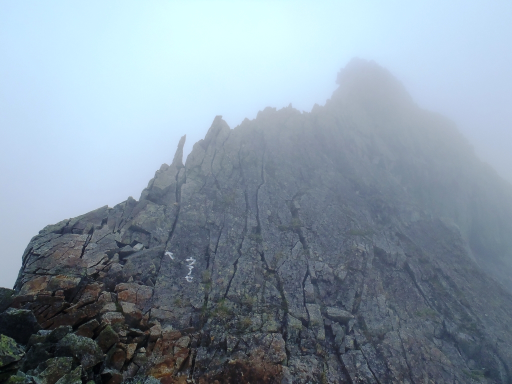 d0091069_12531754.jpg