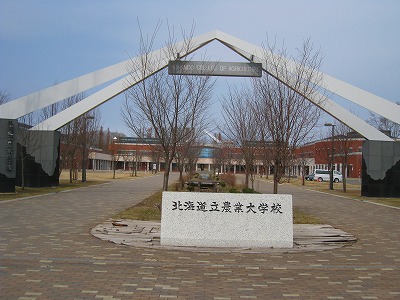 b0171771_4164288.jpg