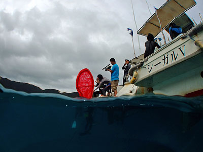 b0033573_18201284.jpg