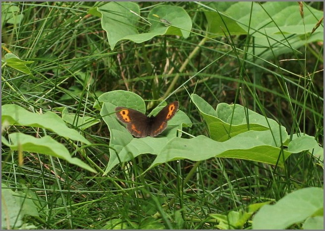 f0181173_17282545.jpg