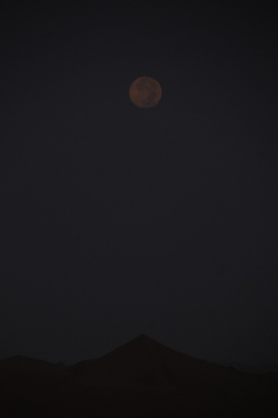 e0066474_21332665.jpg