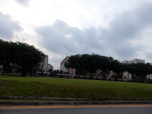 a0002177_1534119.jpg