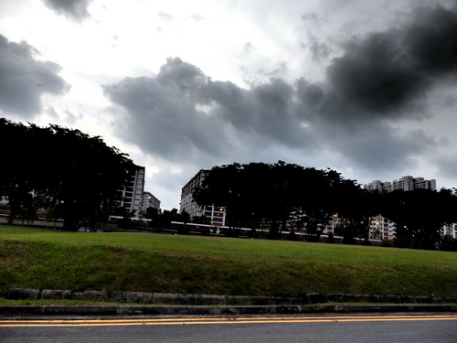 a0002177_1534980.jpg