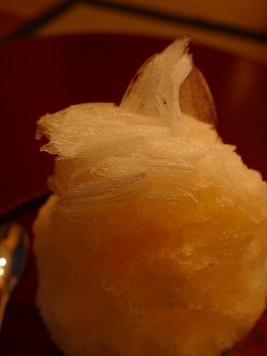 a0279382_6393294.jpg