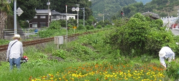 f0003283_13375375.jpg