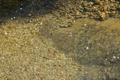 b0226089_118152.jpg