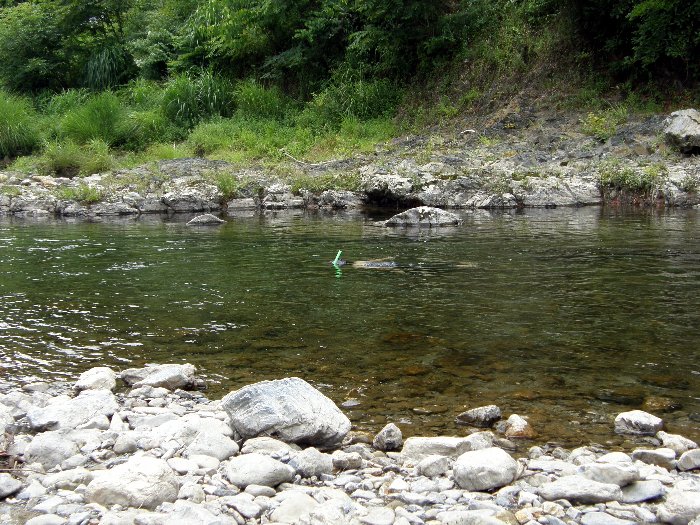 c0057390_23144122.jpg