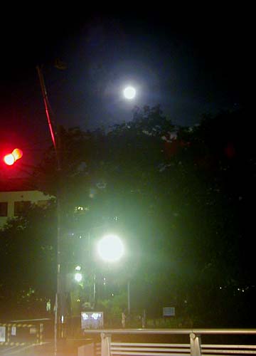d0053294_23223432.jpg