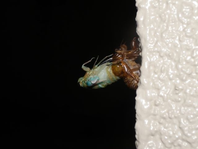 f0130894_2138382.jpg
