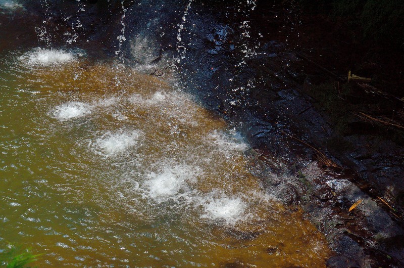 e0223998_5544422.jpg