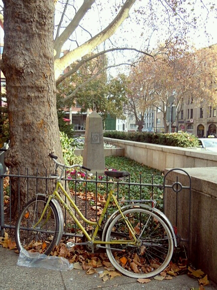 f0100505_100108.jpg