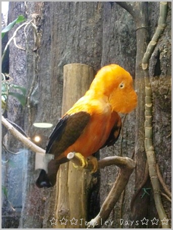 c0110906_13591657.jpg