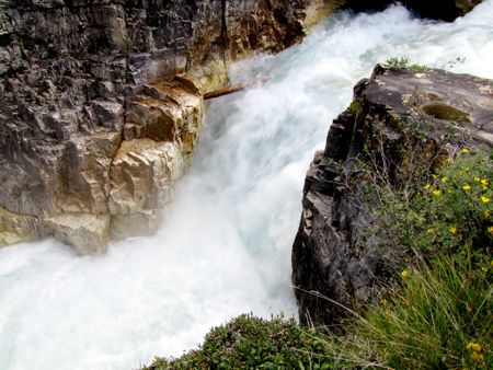 b0051109_11151297.jpg