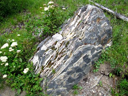 b0051109_11212227.jpg