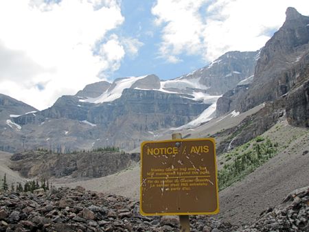 b0051109_1142759.jpg