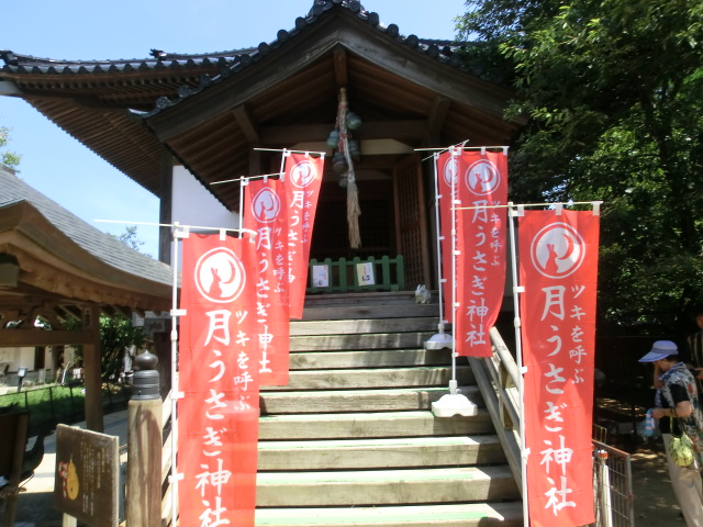 b0062214_20265825.jpg